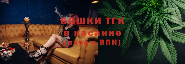 стафф Верхний Тагил